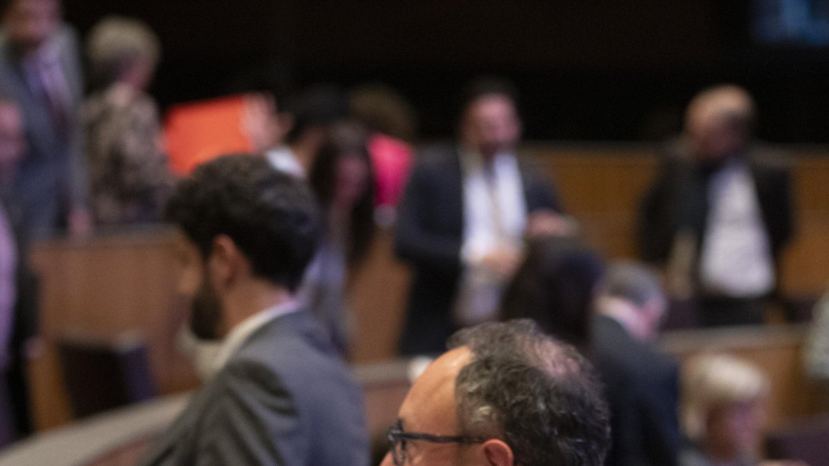 Espot i Escalé al Consell General.