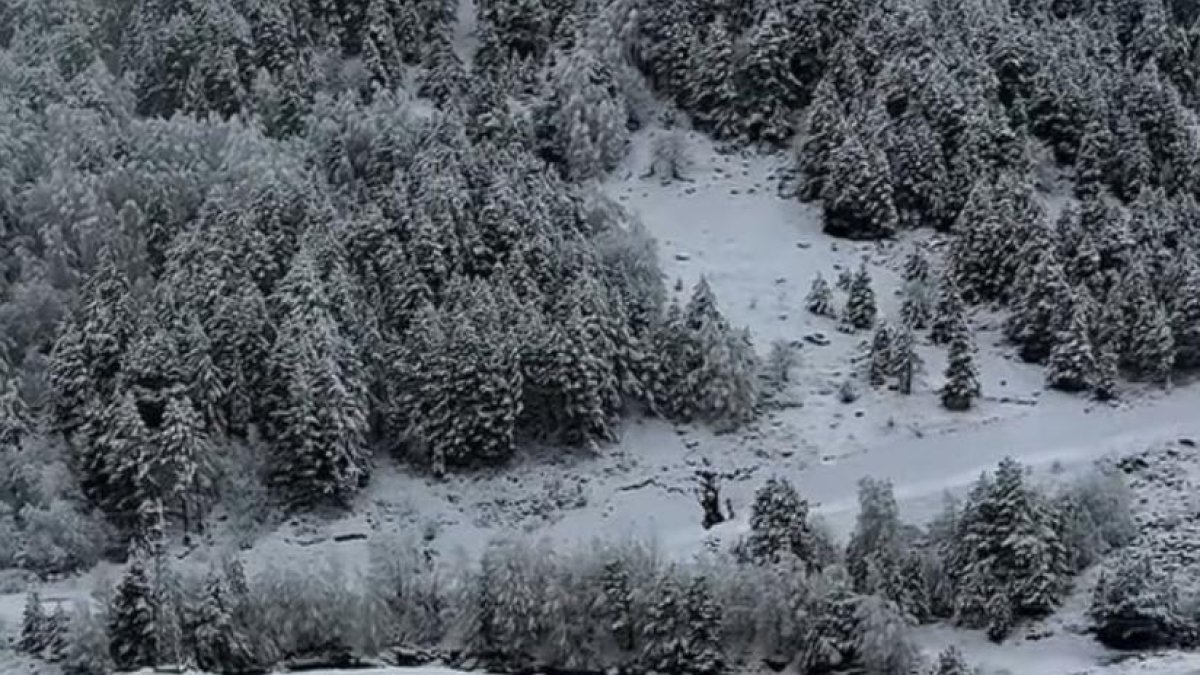 Fase groga a Canillo.