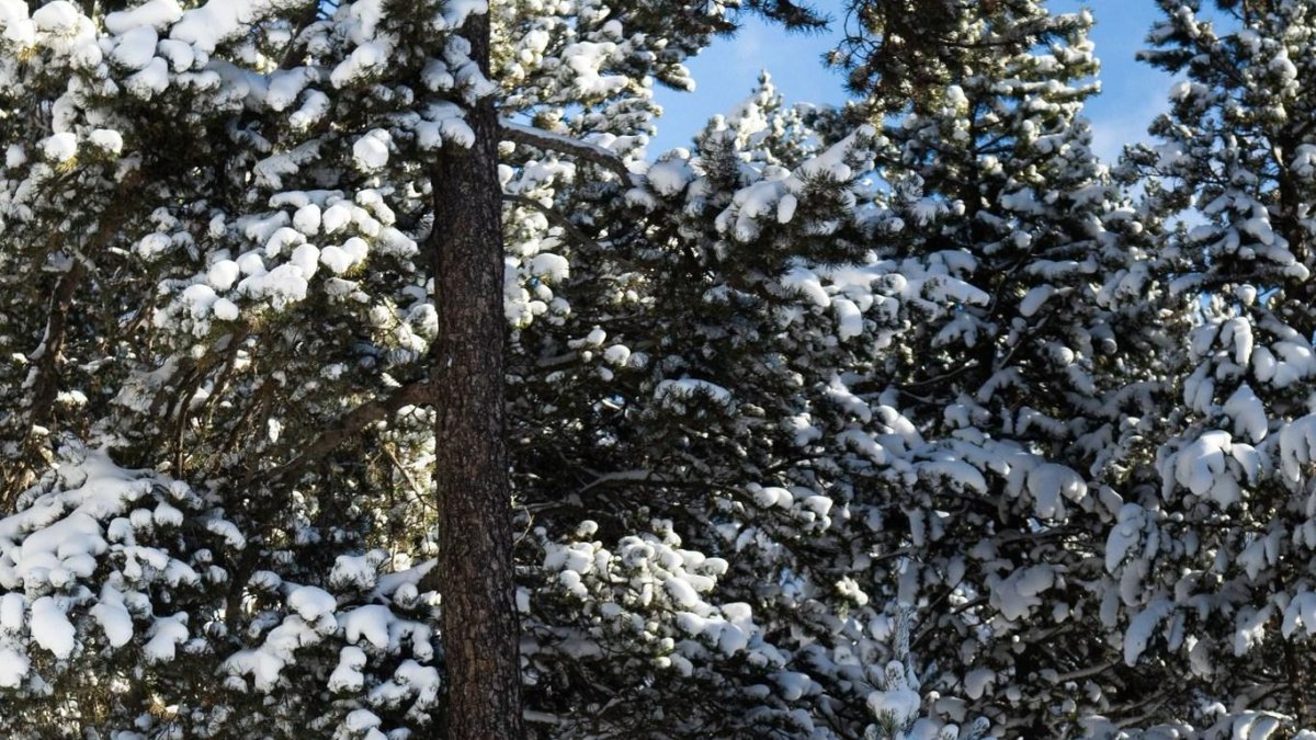 Un turista practicant una activitat de neu a Naturland.
