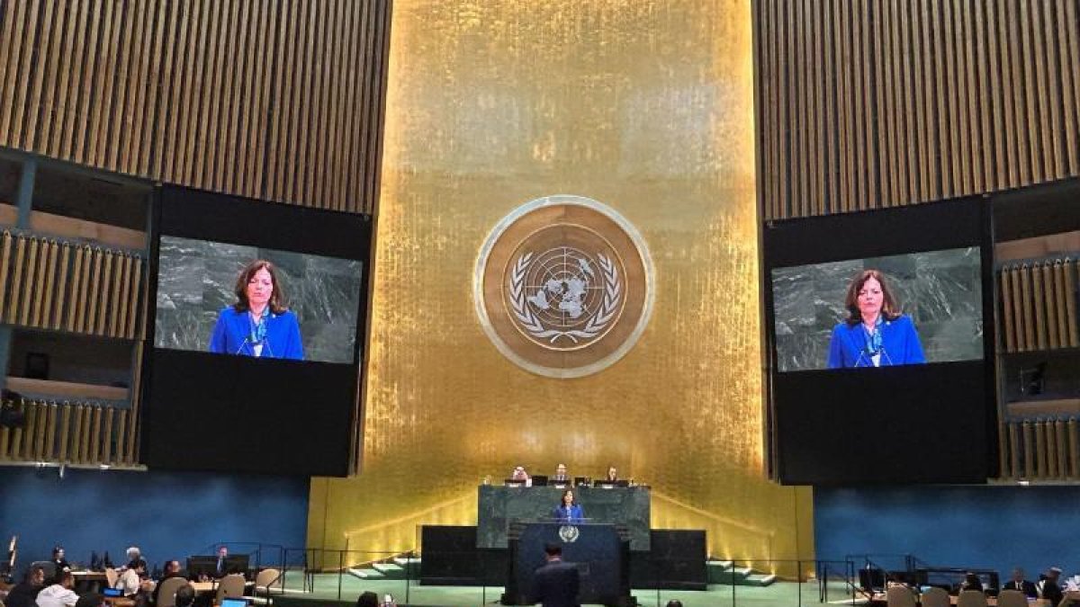 La ministra d’Afers Exteriors, Imma Tor, a la Conferència internacional d'alt nivell per a la resolució pacífica de la qüestió de Palestina.