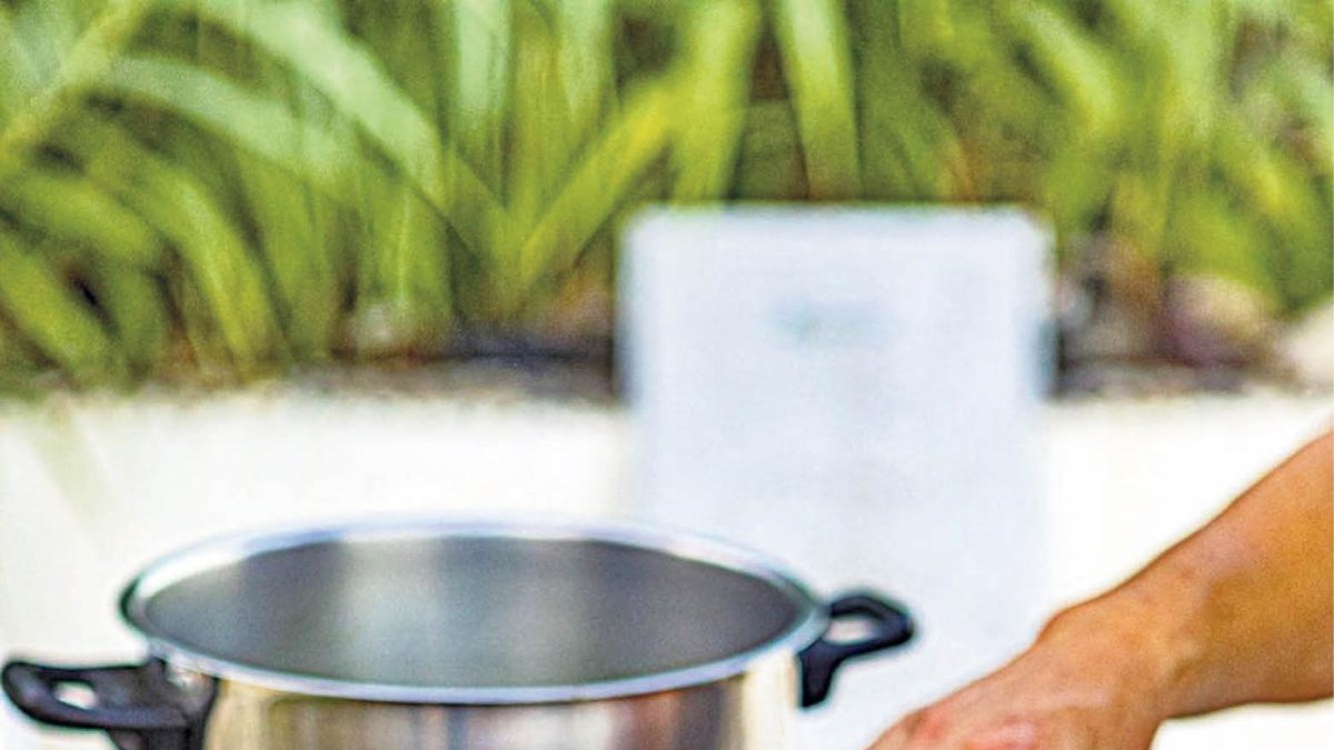 Albergínies, pebrots, cebes, patates o bolets, on està escrit que només poden ser de carn?