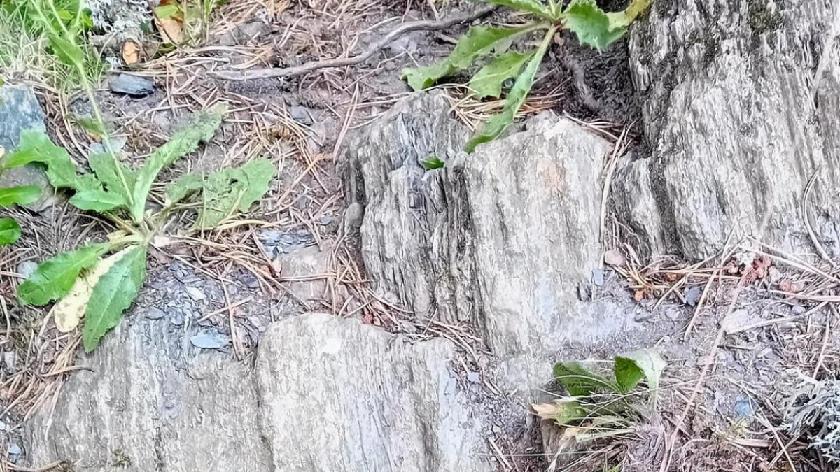 La creu de terme antiga descoberta a Setúria.