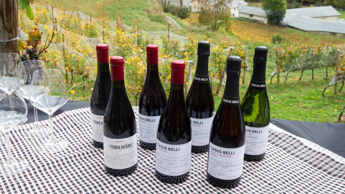 Exposició de vins.