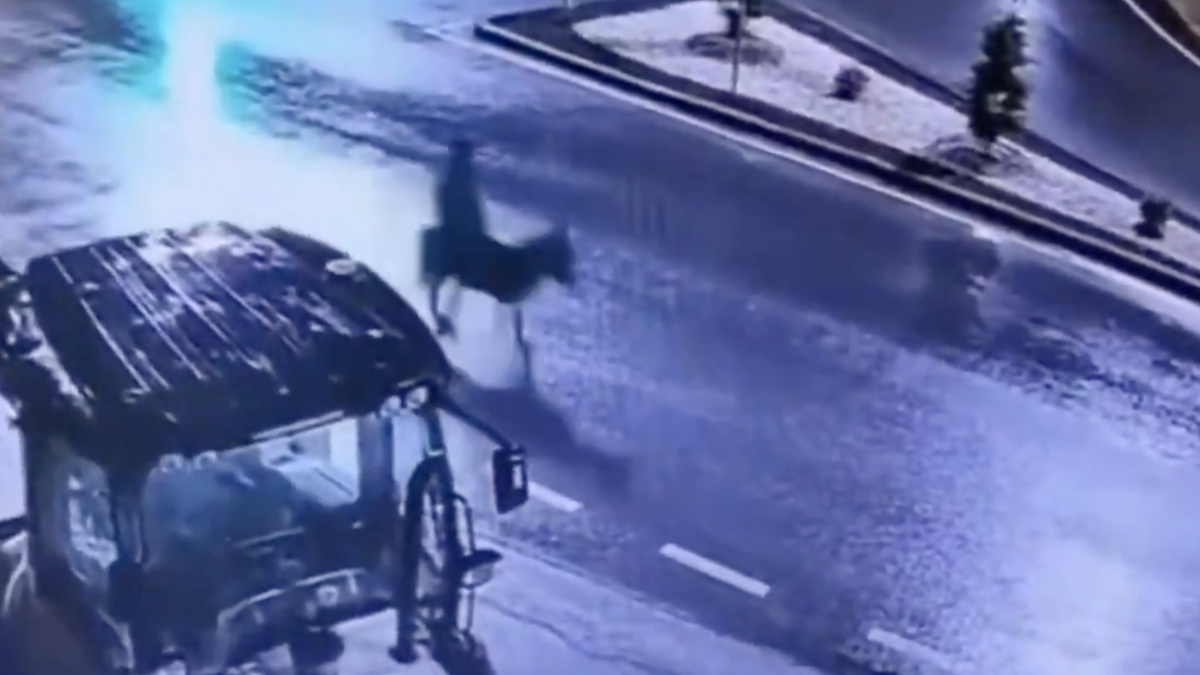 Detingut a Turquia després de robar una joieria i fugir muntat en un ruc