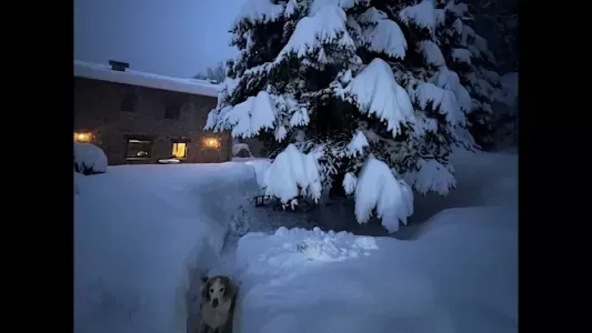 Una de les cases que s'anuncia en un dels portals.