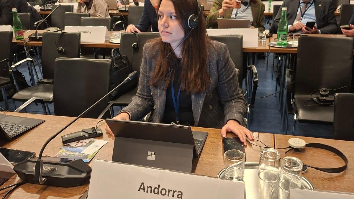 La consellera general, Meritxell López, durant la sessió d'hivern de l'OSCE a Àustria.