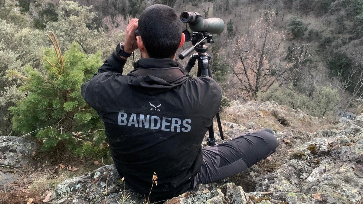 Un bander d'Andorra realitzant una vigilància cinegètica amb uns prismàtics.