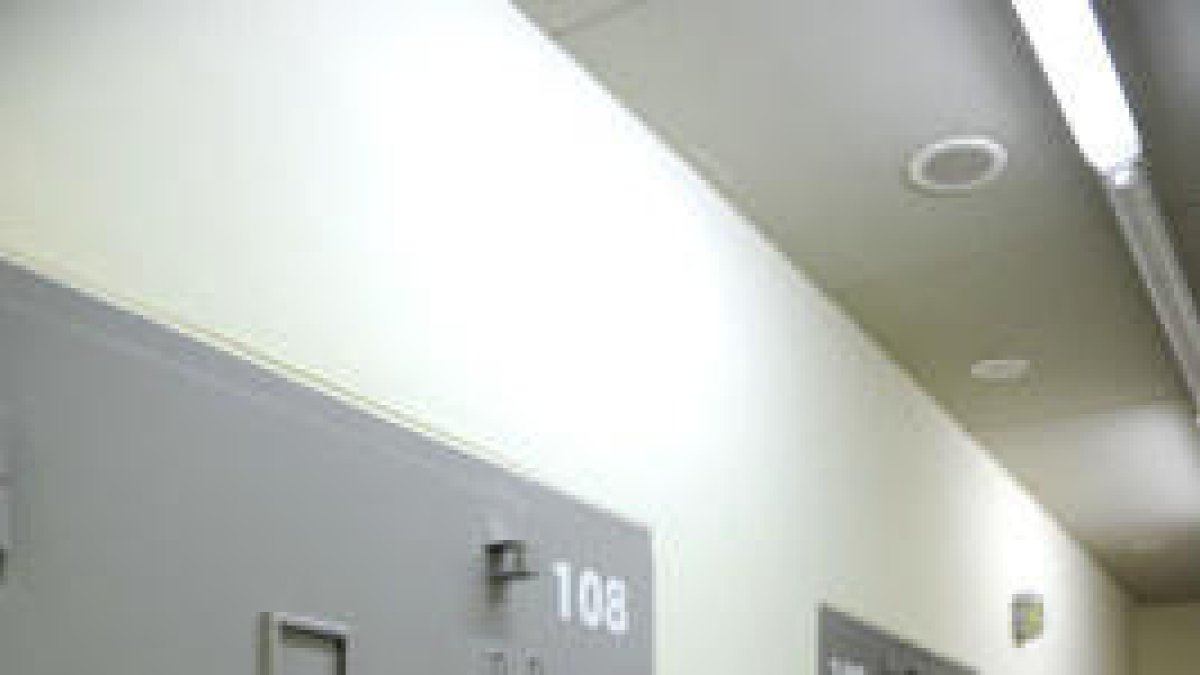 46175.jpg