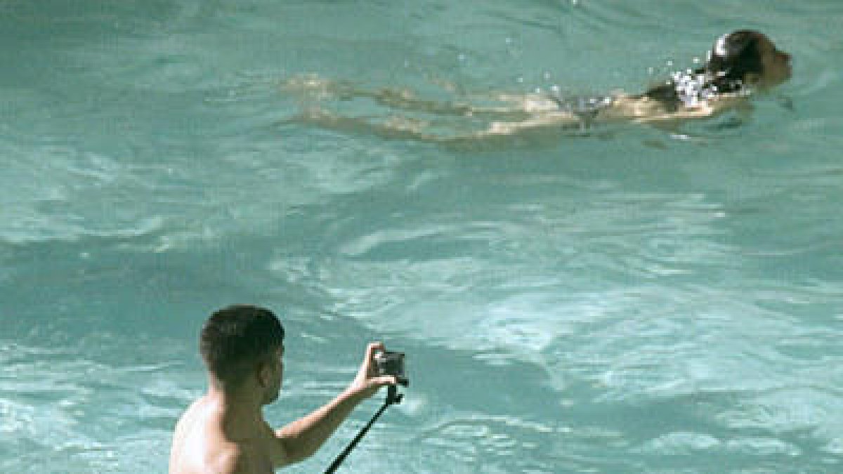 46230.jpg
