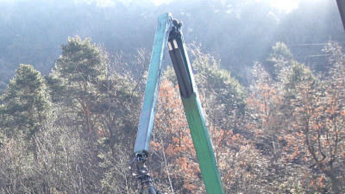 46250.jpg