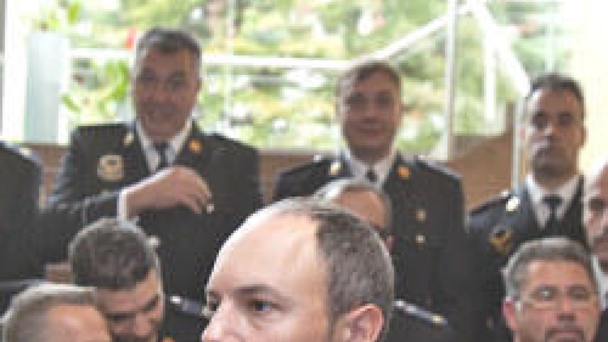 46389.jpg