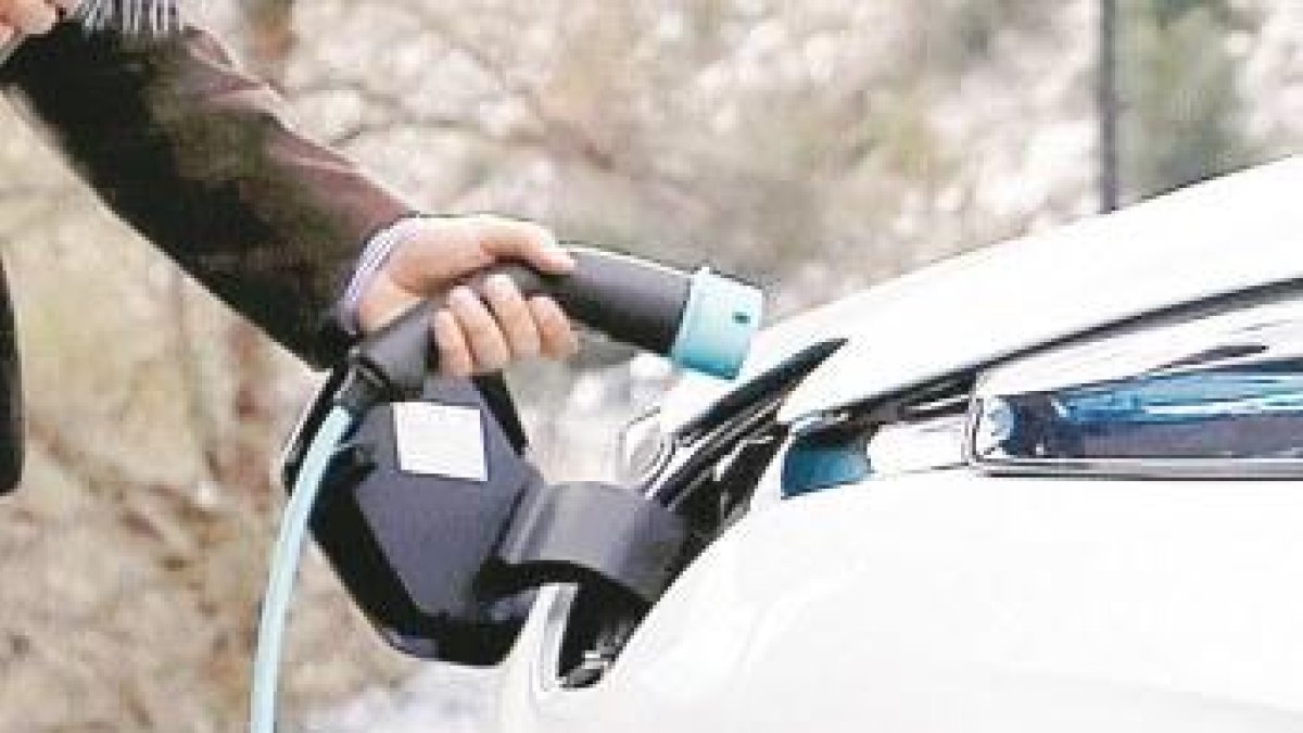 L'AIVA, satisfeta amb el resultat de l'Engega