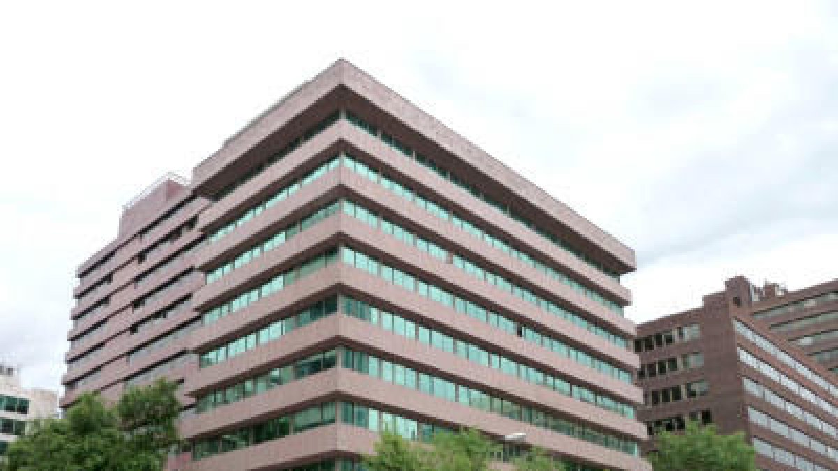 Acusen l'OMT de fer una gestió opaca amb la Fundació Themis