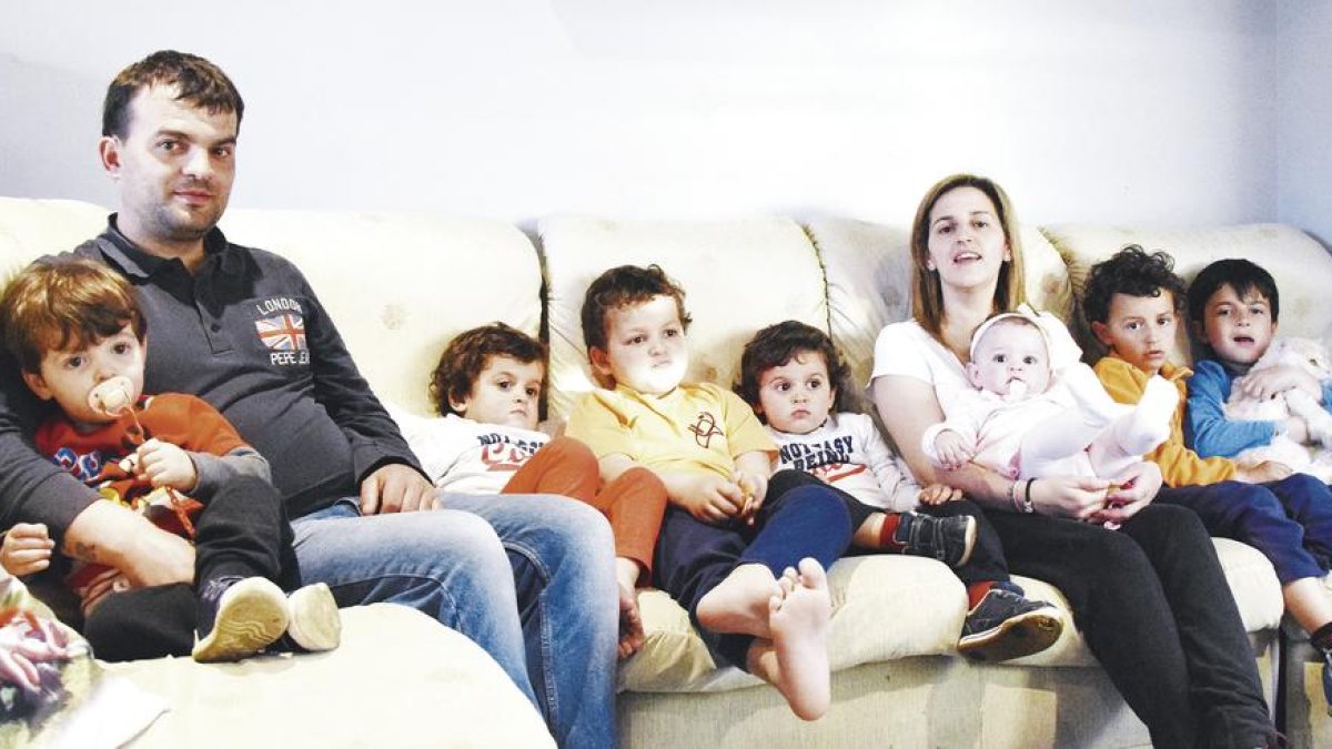 Superfamílies