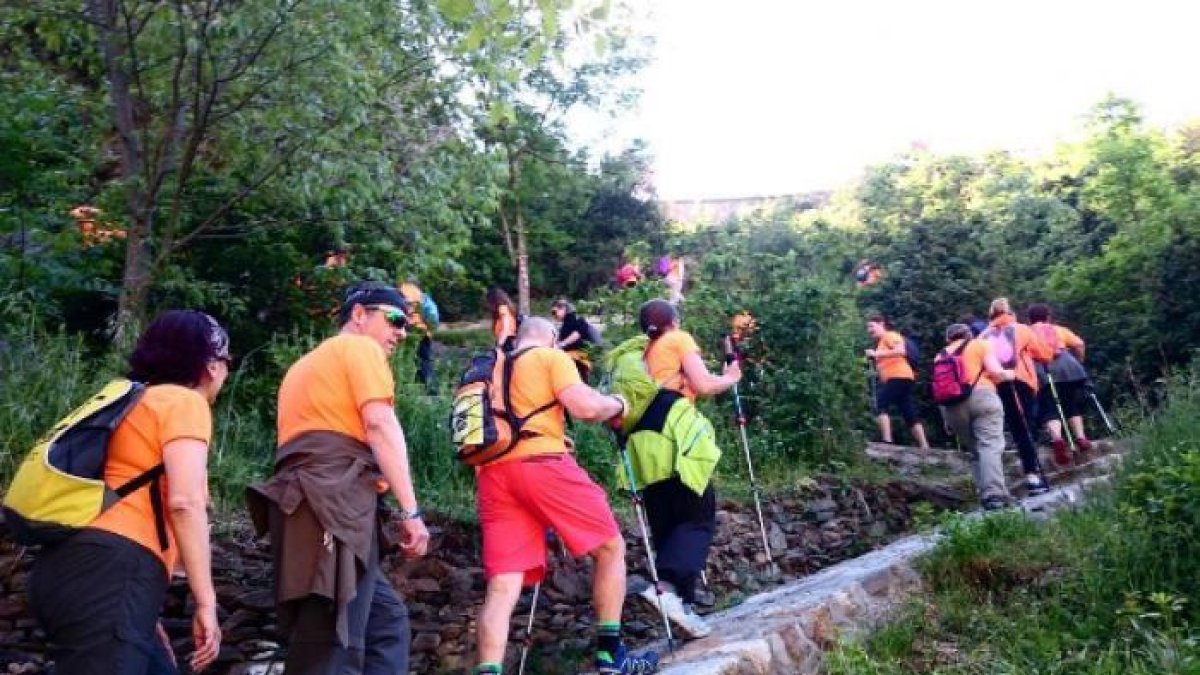 Premi a les millors fotos del Tomb Lauredià