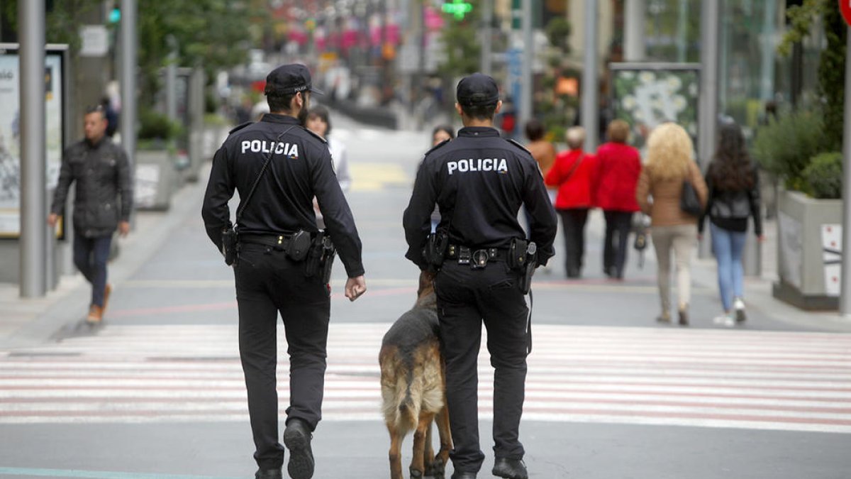 Els liberals demanen al Govern sobre les armilles dels policies