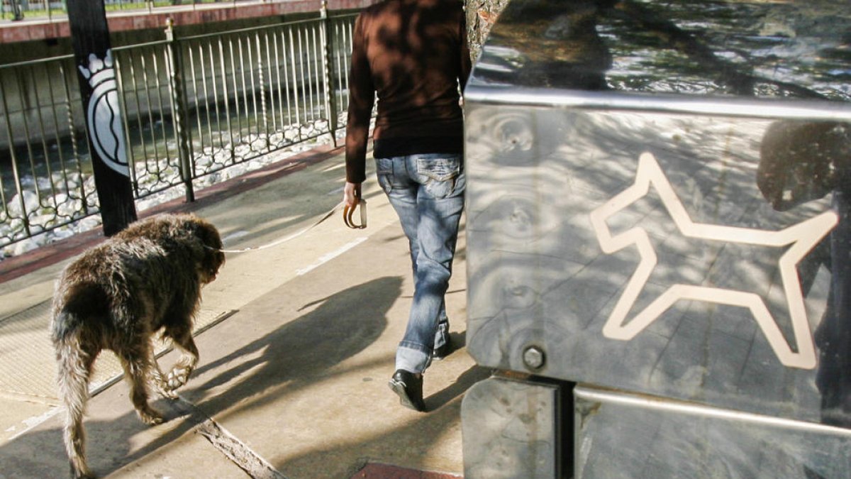 Els comuns estudien crear “una nova figura” per recollir les tifes de gossos