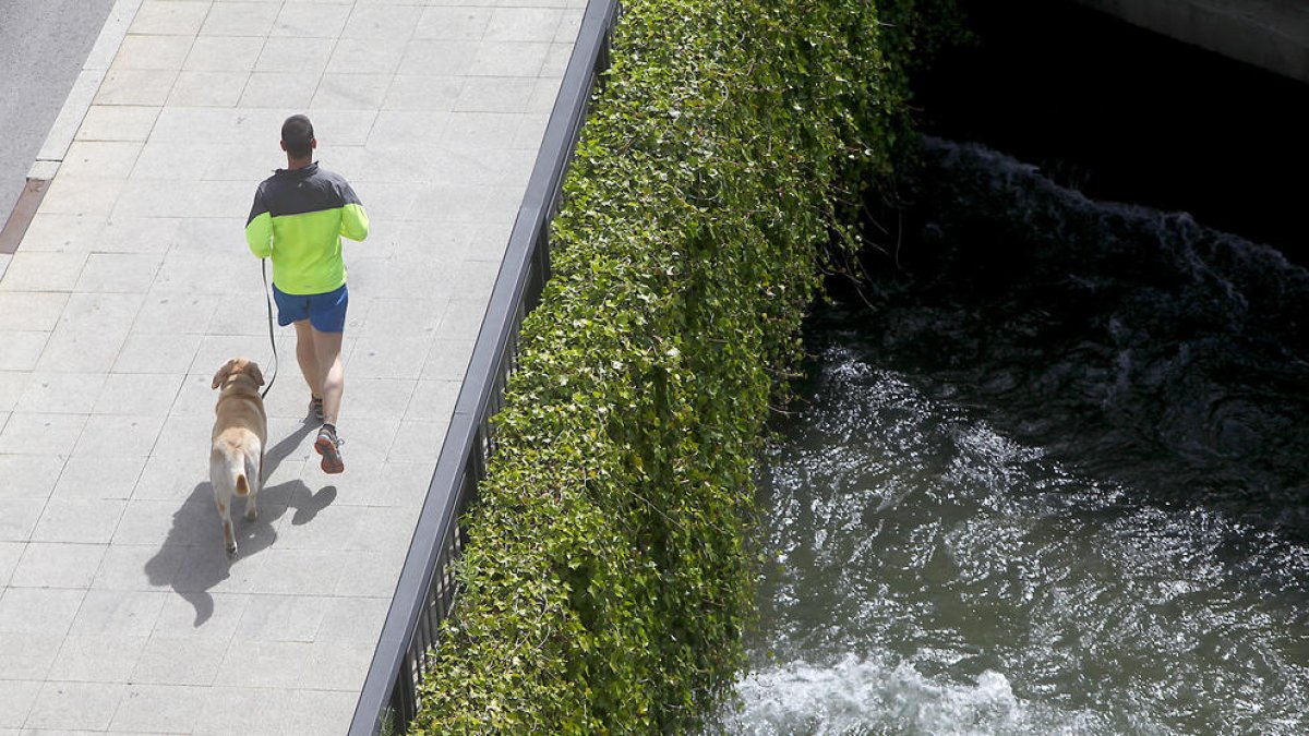 Més de 150 signatures contra les anàlisis d'ADN als gossos