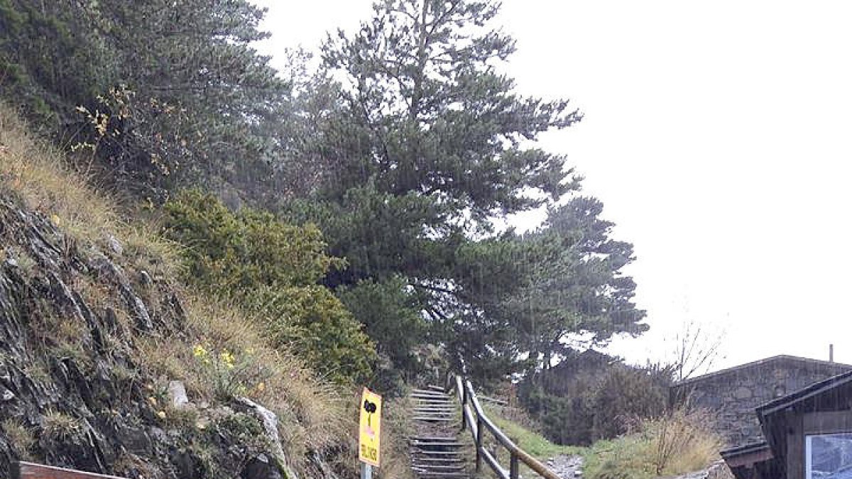 Denuncien la mort d'un gos per un tret d'arma