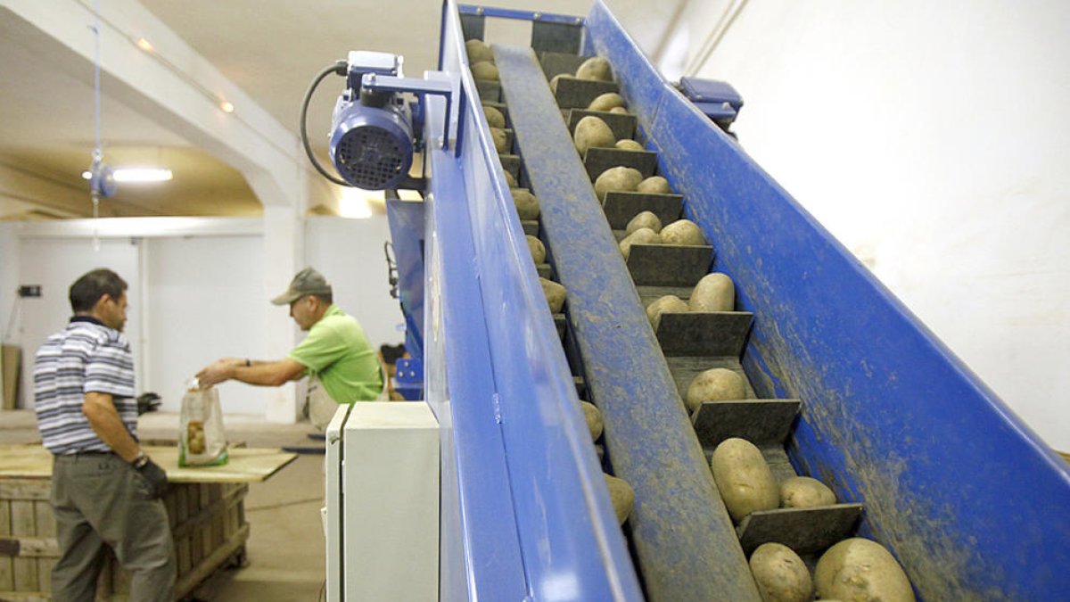 Sabors i Aromes cau per “la comercialització”