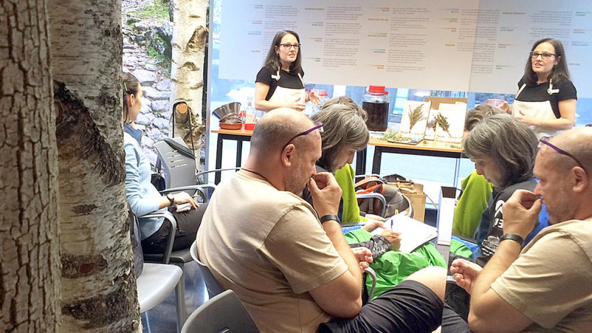 Places exhaurides per participar al taller de plantes medicinals