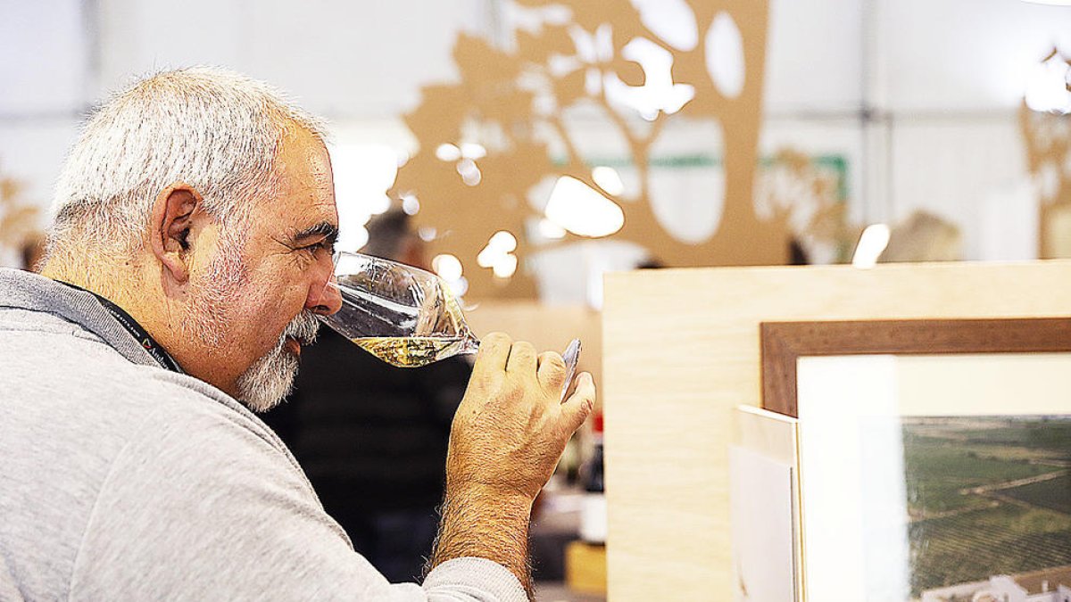 Els experts afirmen que el vi andorrà és considerat car