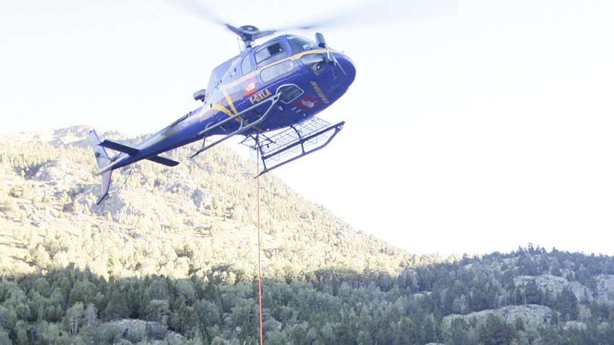 La setmana de caça de l'isard acaba sense grans incidències