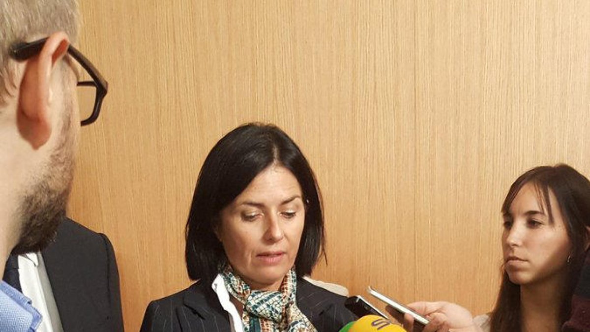 Maritxell Mateu durant la compareixença aquesta tarda