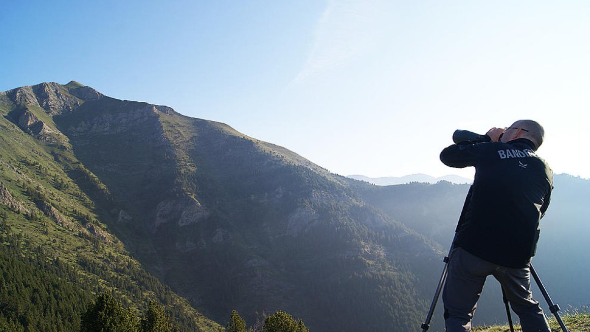 El Govern fixa 119 captures per als 511 caçadors de la Setmana de l'isard