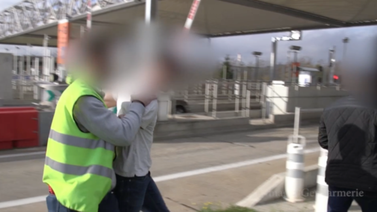 França vol l'extradició del cap del web pirata