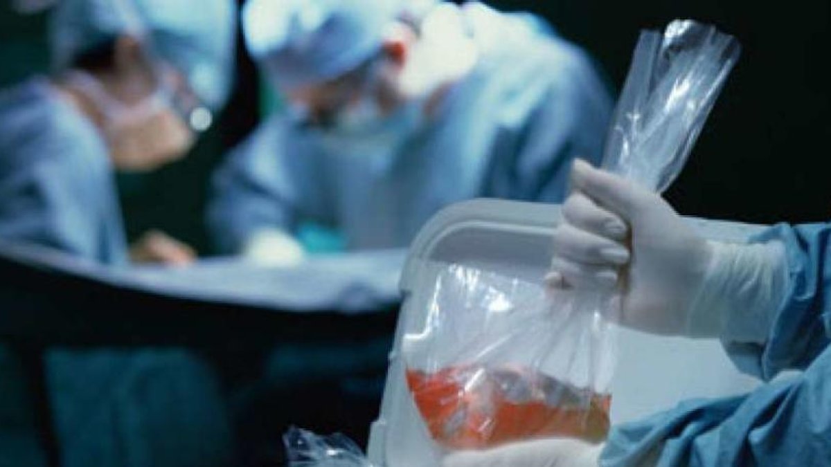 Govern treballa en la regulació de la donació d'òrgans al país