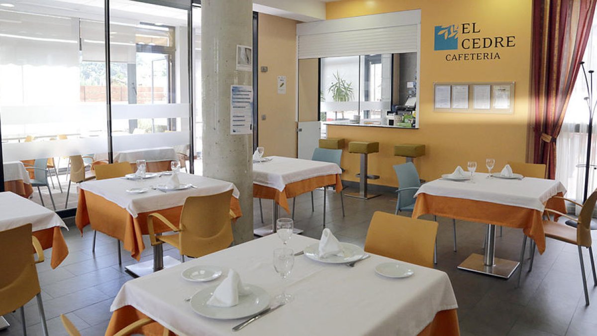 El personal d'El Cedre treballarà en torns de 12 hores i en dies alterns