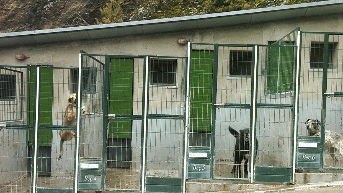 El Govern externalitza la gestió de la gossera i la gatera