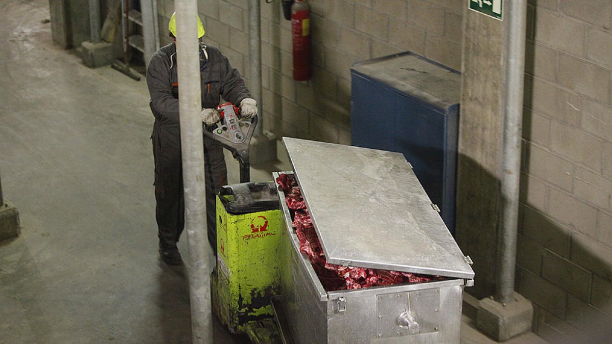 Extreballadors denuncien que van ser vexats quan eren a Ctrasa