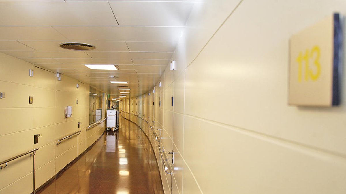 Govern du a la fiscalia les irregularitats en la gestió del SAAS