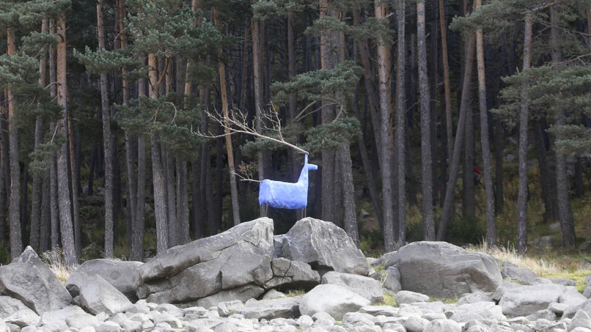 Moles 'exporta' la biennal de 'land art' a l'Ateneu Barcelonès
