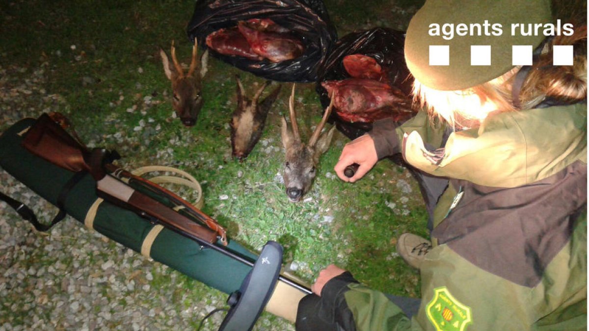 Els agents rurals enxampen un encampadà fent caça furtiva d'isard i cabirol
