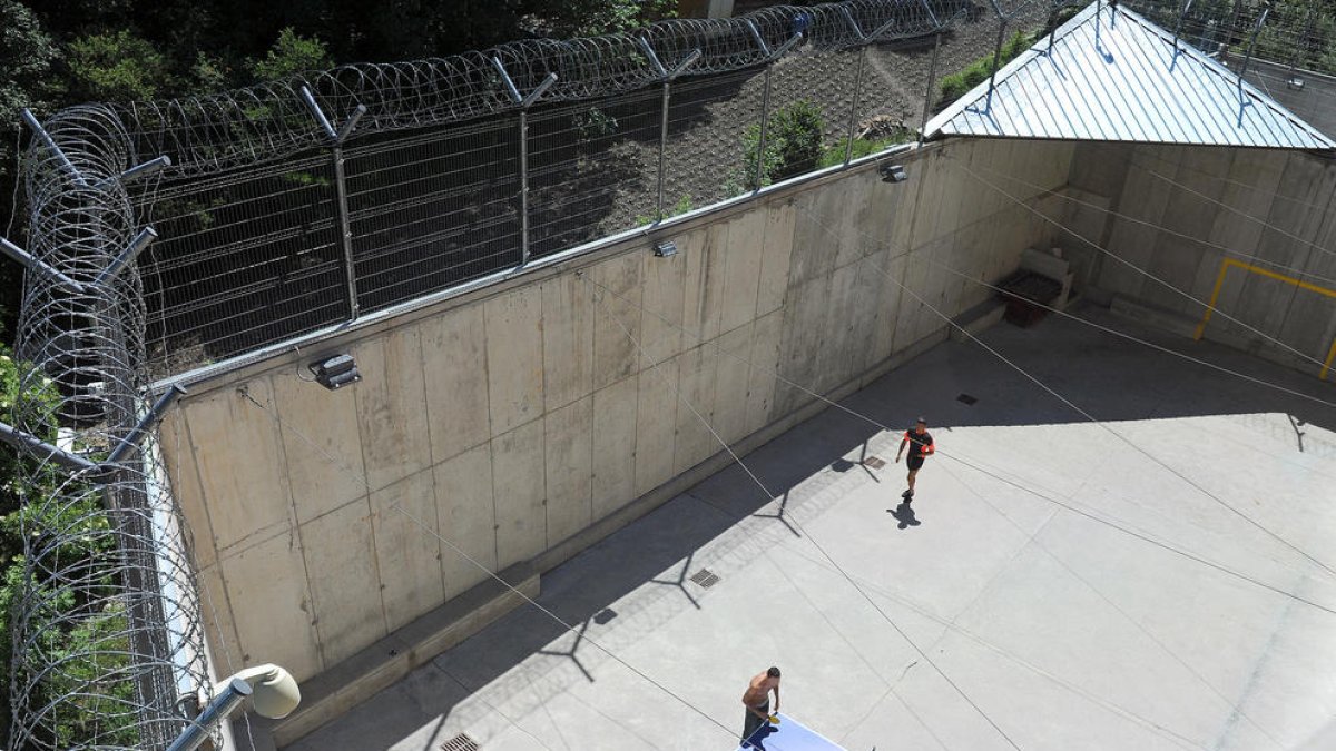 Intimitat entre barrots