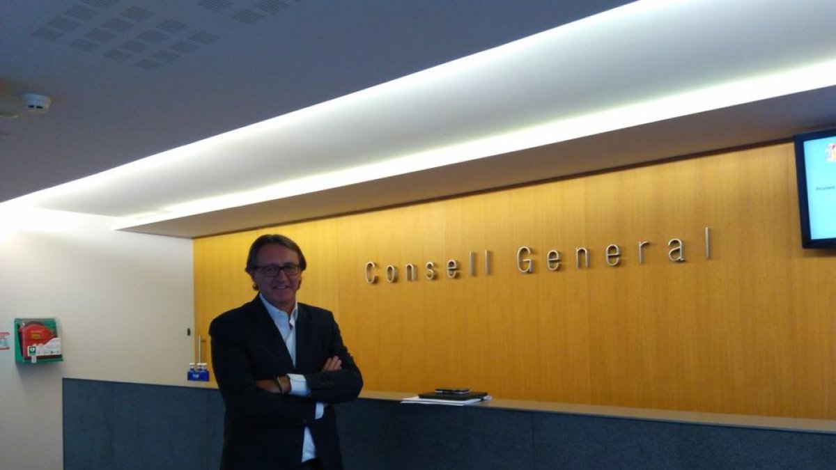 Higini Cierco compareix al Consell General