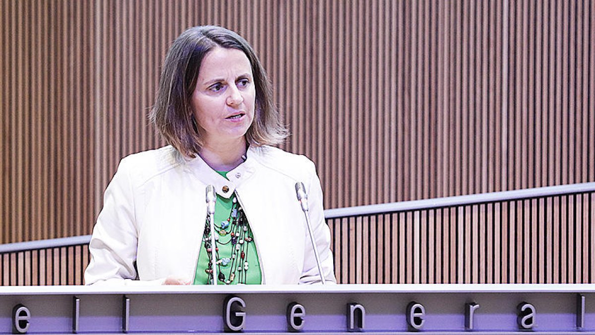 El PS pregunta per un assessorament dubtós