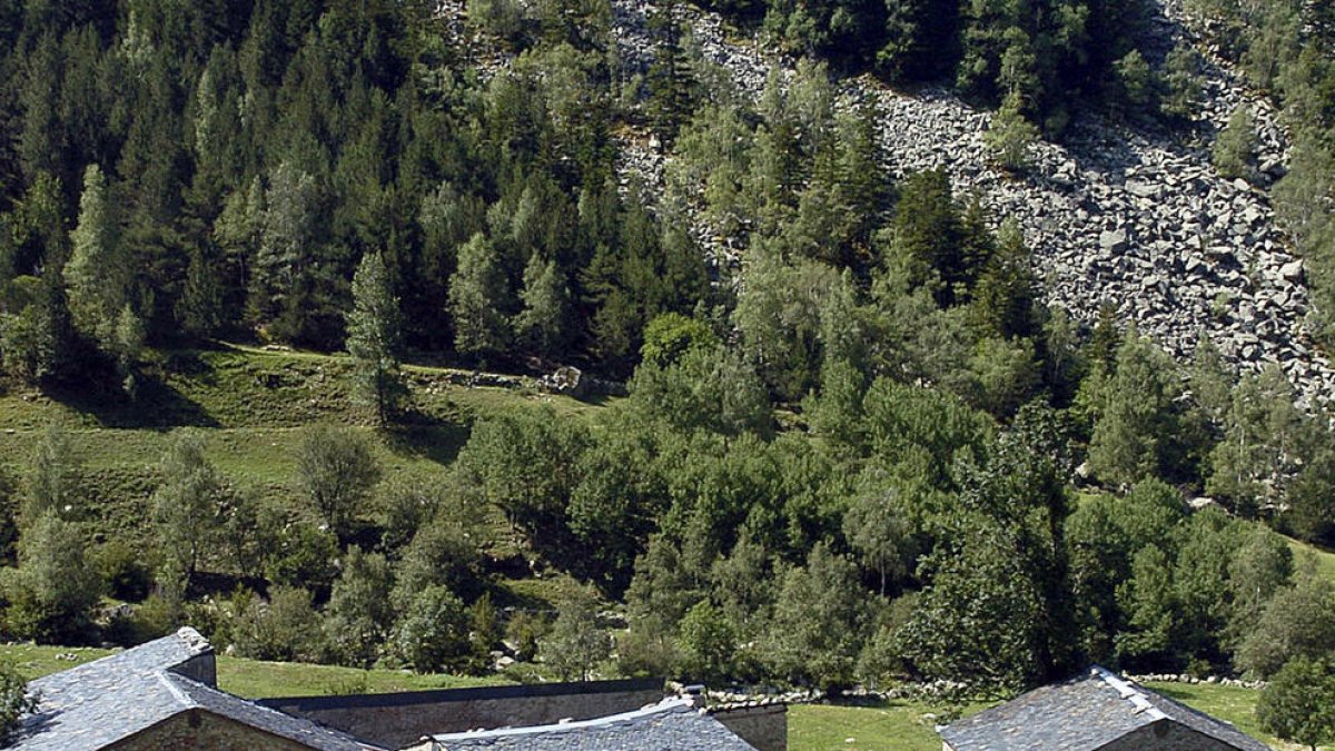 El comú defensa que l'impost dels cortals és el més baix de la llei