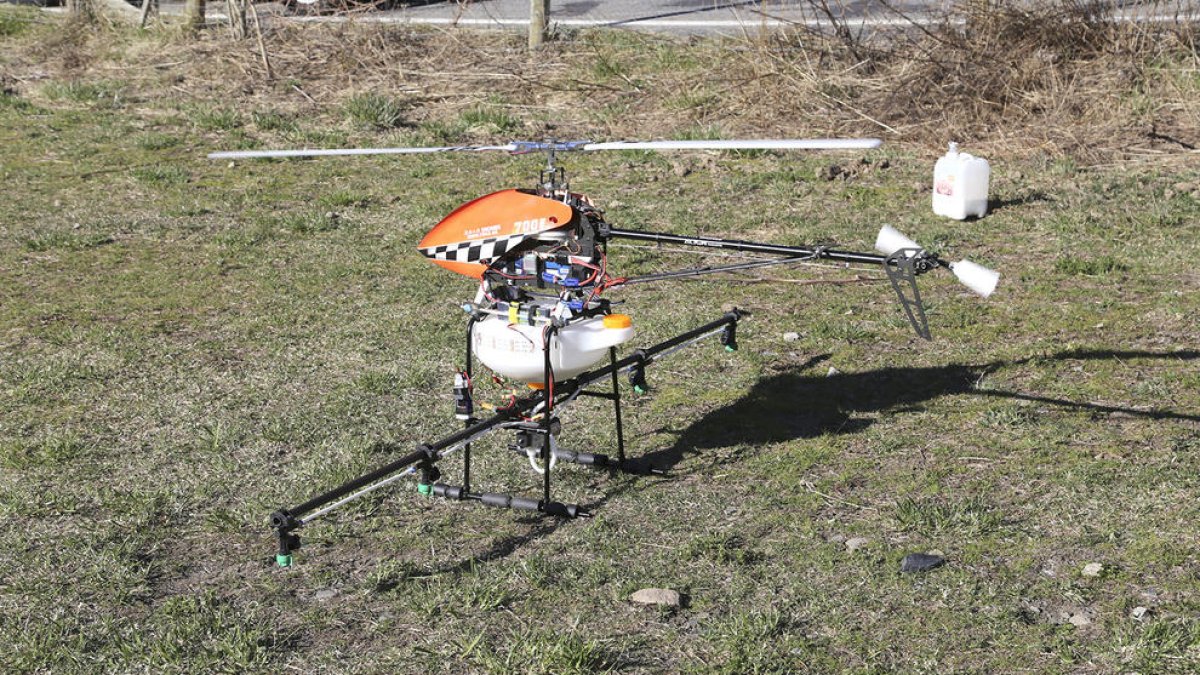 Sant Julià fa tractaments per combatre la processionària