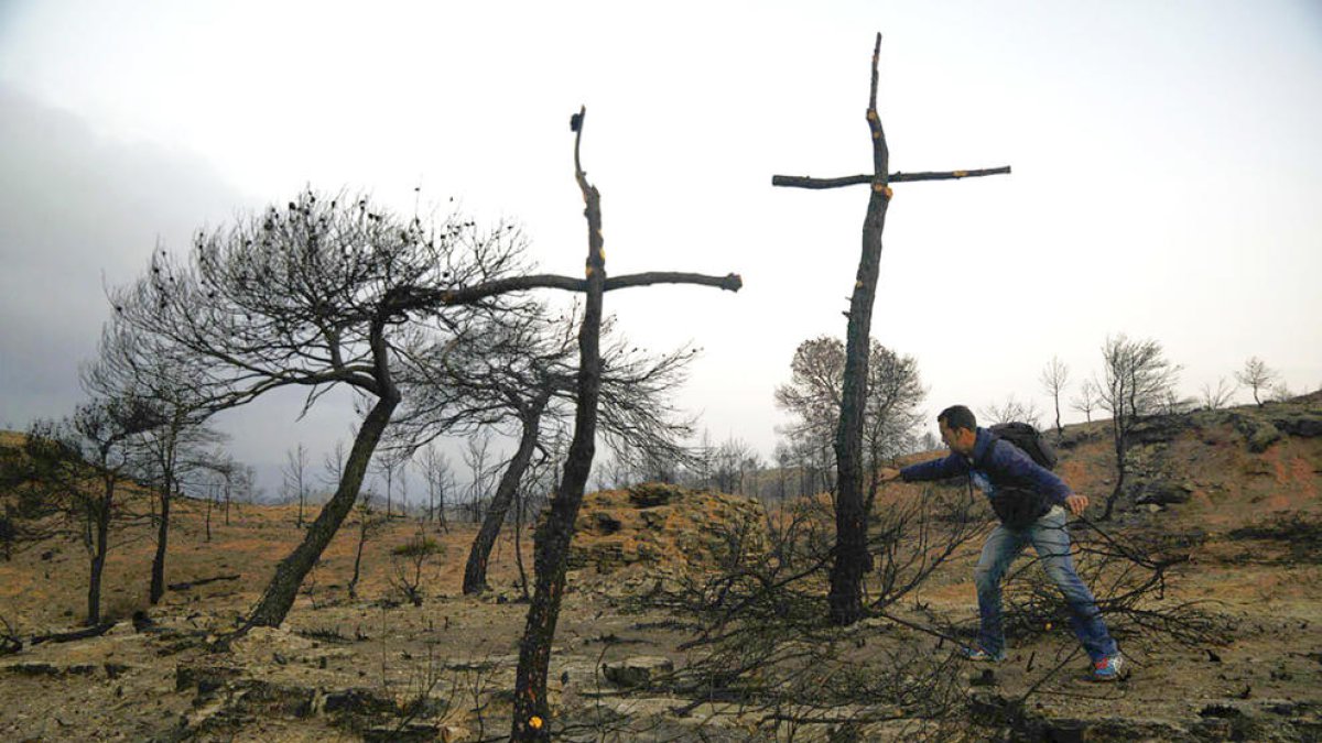 Segona i “coixa” Biennal de 'land art'