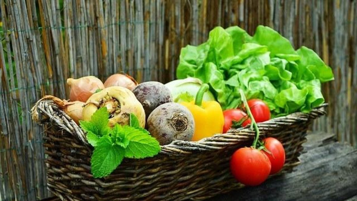 Cinc raons per menjar 'eco'