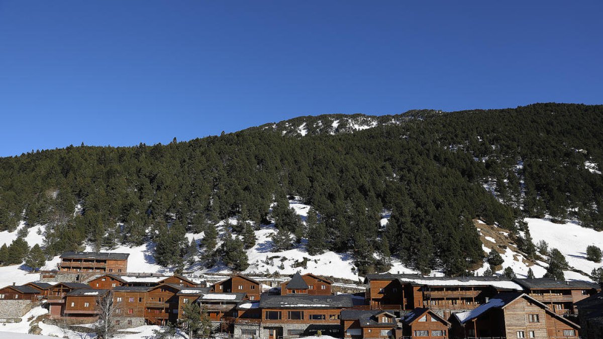 Ingressa a la presó la dona detinguda per apunyalar l'home