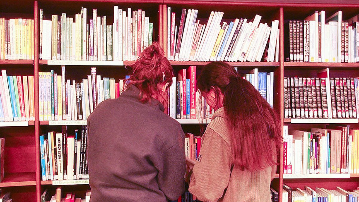 La Biblioteca Pública del Govern va tancar l'any amb 454 nous socis i 18.006 préstecs