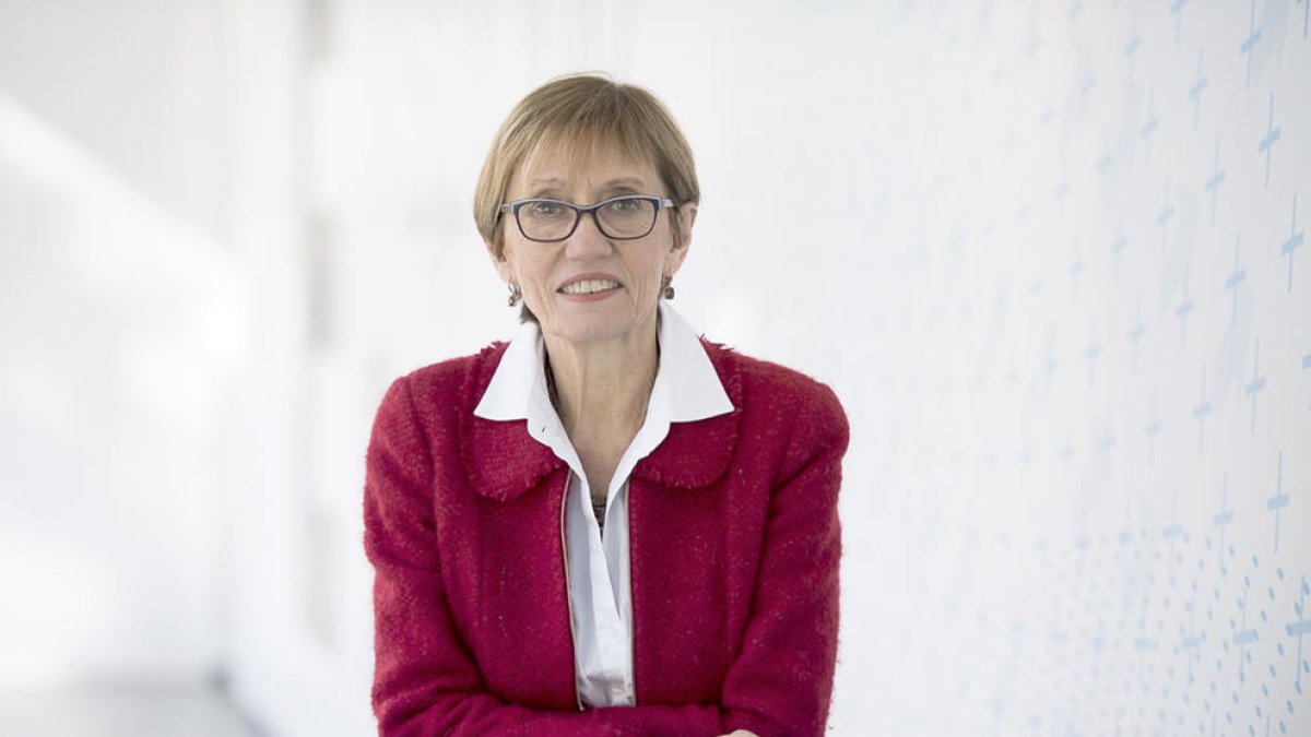 “Voldria que l'emprenedoria fos un fenomen més sòlid”