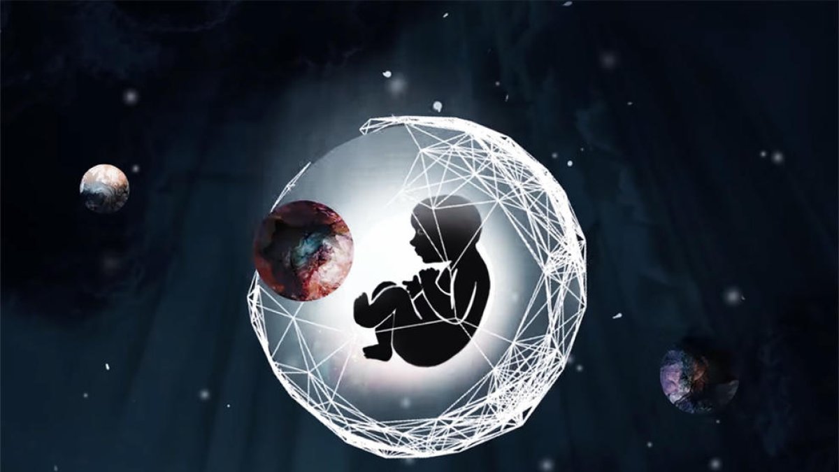 Territori d'animació