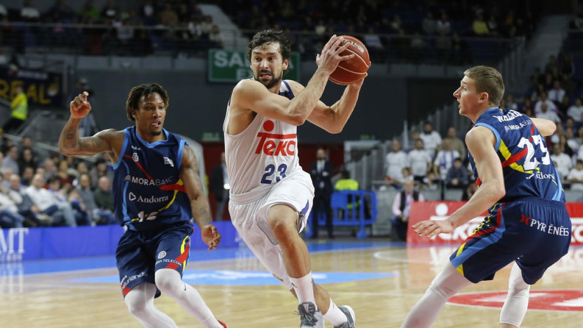 Sergi Llull