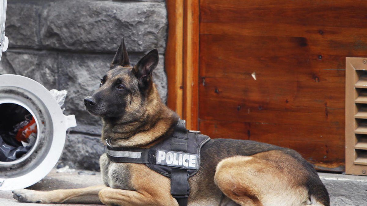 Detingut amb 92 grams d'haixix dins del cos